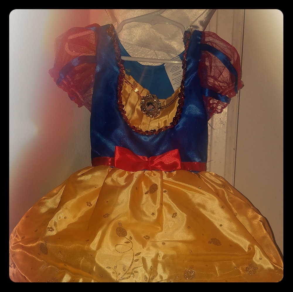Little girls Halloween Costume